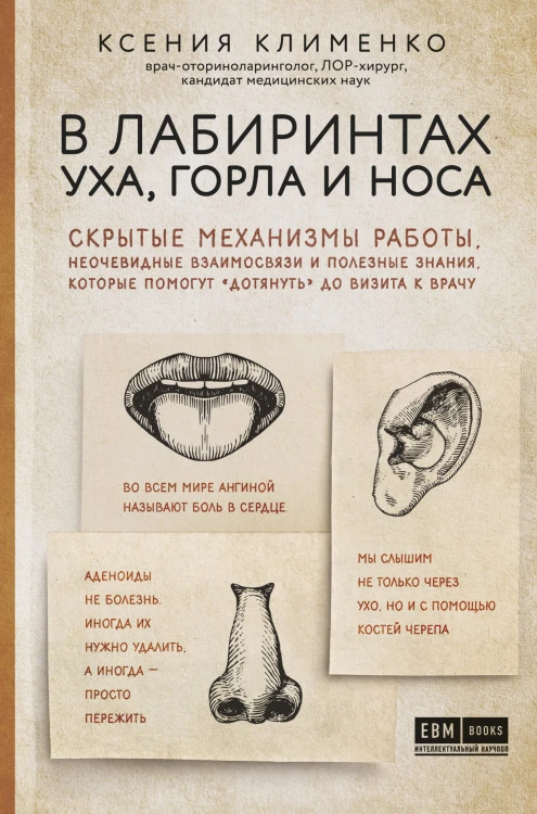 В лабиринтах уха, горла и носа. Скрытые механизмы работы, неочевидные взаимосвязи и полезные знания, которые помогут "дотянуть" до визита к врачу