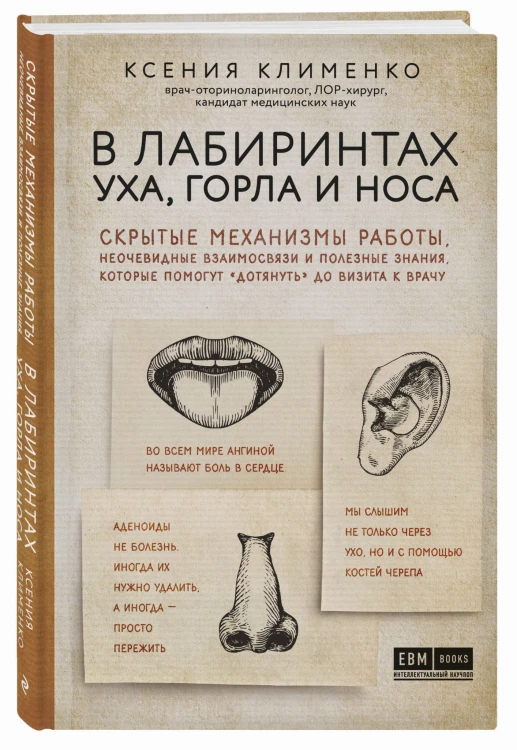 В лабиринтах уха, горла и носа. Скрытые механизмы работы, неочевидные взаимосвязи и полезные знания, которые помогут "дотянуть" до визита к врачу