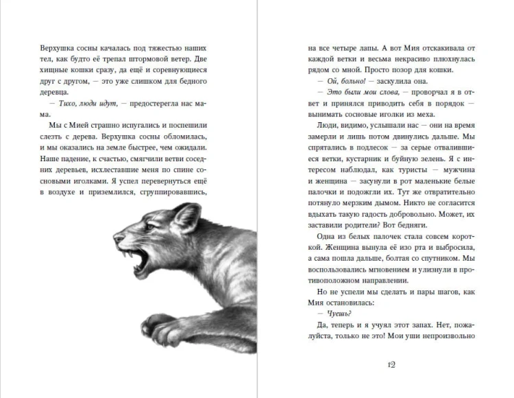 День огня (#6)