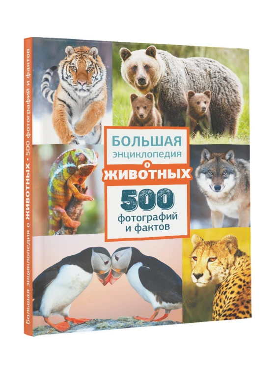 Большая энциклопедия о животных. 500 фотографий и фактов