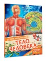 Тело человека