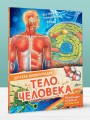Тело человека