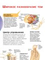 Тело человека