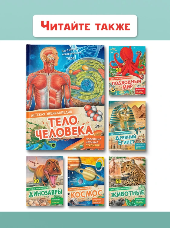 Тело человека