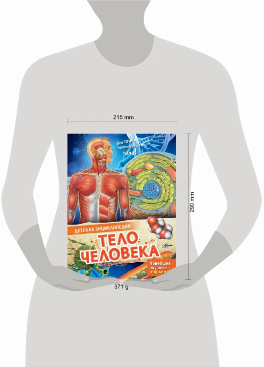 Тело человека