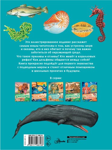 Подводный мир