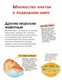 Подводный мир