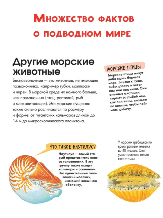 Подводный мир