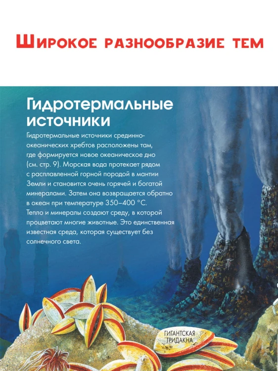 Подводный мир