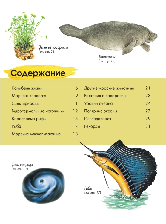Подводный мир