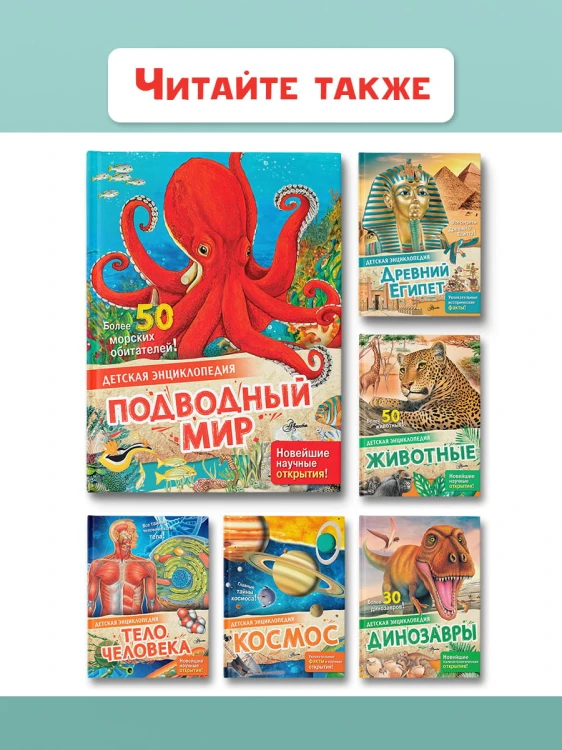 Подводный мир
