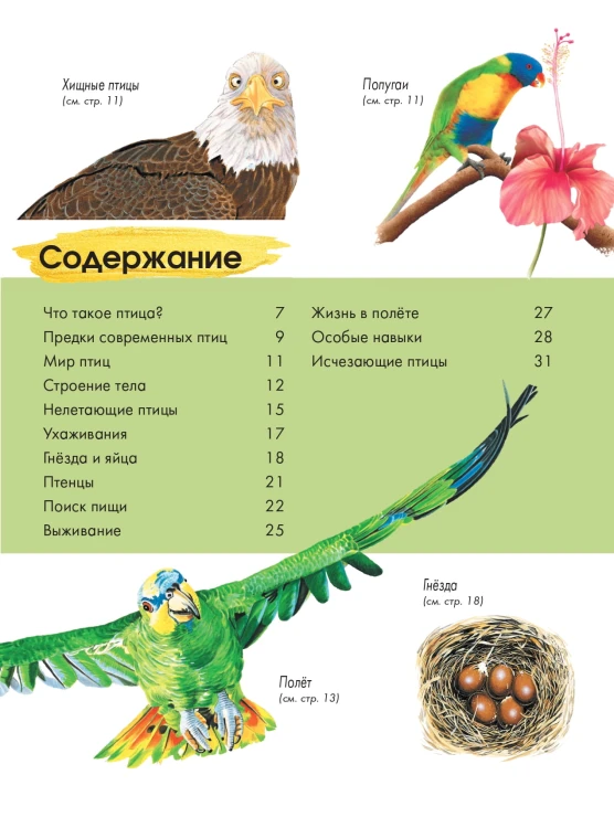 Птицы