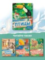 Птицы
