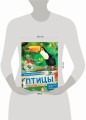 Птицы