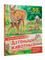 Детеныши животных