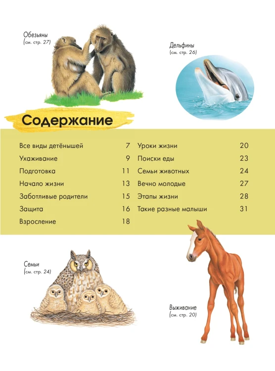 Детеныши животных