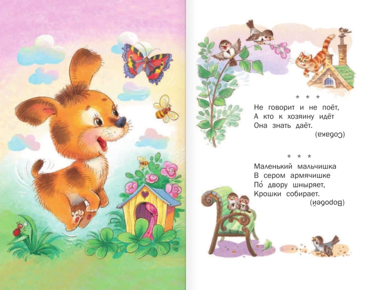 Загадки