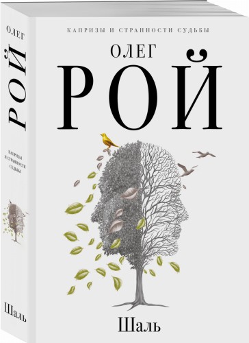 Шаль