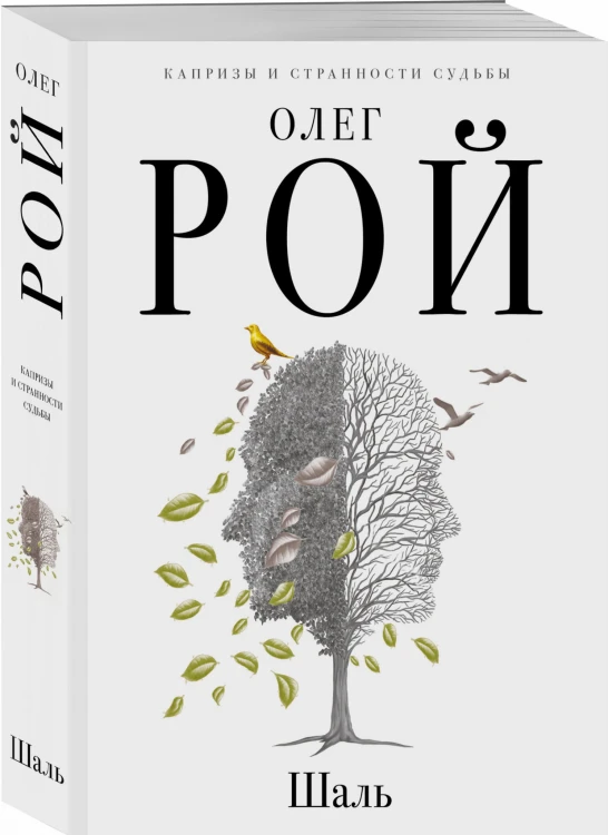 Шаль