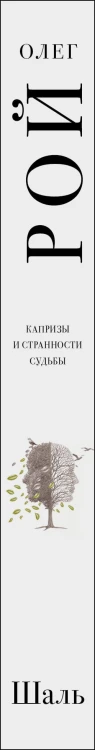 Шаль