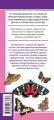 Бабочки. Наглядный карманный определитель (для ПР)