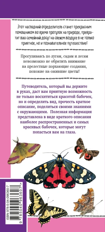 Бабочки. Наглядный карманный определитель (для ПР)