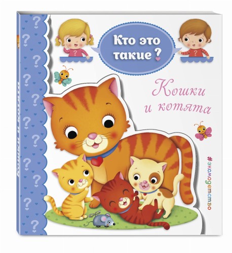 Кошки и котята