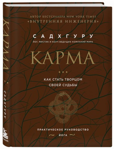 Карма. Как стать творцом своей судьбы (бизнес)