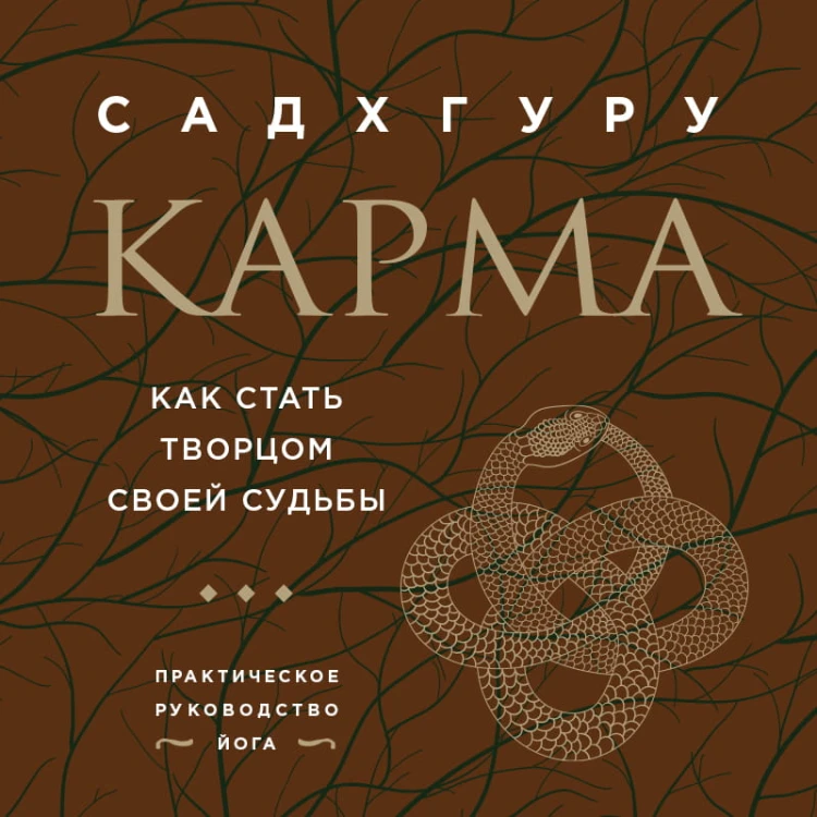 Карма. Как стать творцом своей судьбы (бизнес)