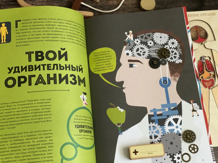 Тело человека. Как работает наш удивительный организм
