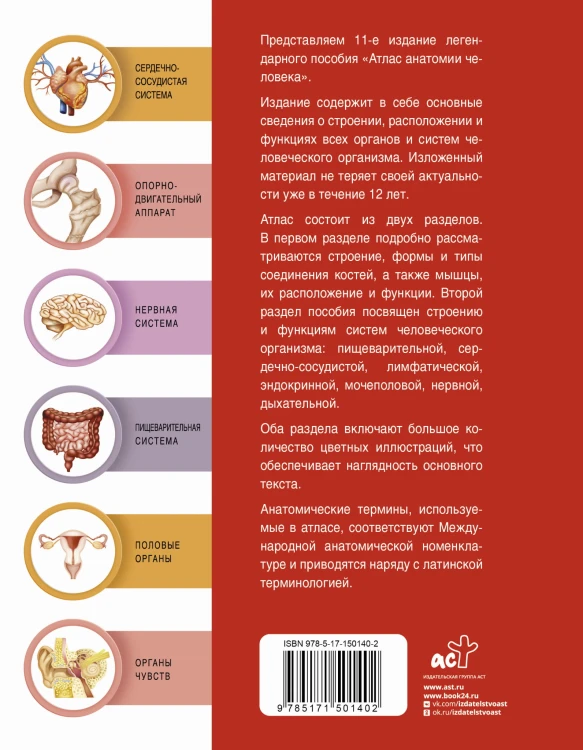 Атлас анатомии человека