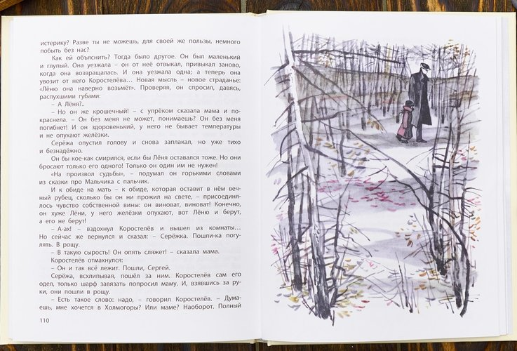 Screenshot_2020-10-22 Серёжа Несколько историй из жизни очень маленького мальчика ➠ Панова Вера Фёдоровна Буквоед ISBN 978-[...](1).png