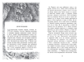 Screenshot_2020-10-23 Купить книгу «Бесшабашный Книга 1 Камень во плоти», Корнелия Функе Издательство «Азбука», ISBN 978-5-[...](3).png