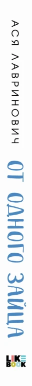 От одного Зайца