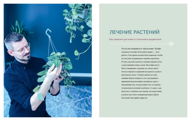 С любовью к растениям. Как обустроить зеленый оазис у себя дома