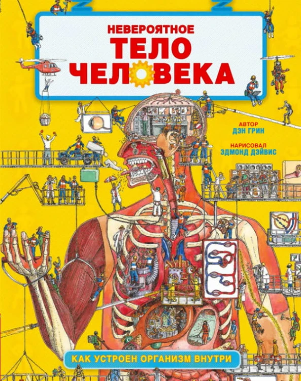 Удивительные энциклопедии. Невероятное тело человека. Как устроен организм внутри/Грин Д.