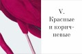 Цвет в природе. Коллекция красок окружающего мира