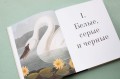 Цвет в природе. Коллекция красок окружающего мира