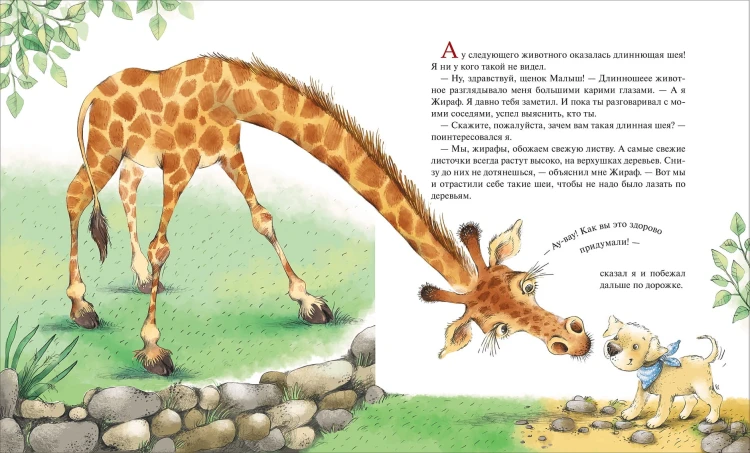 Малыш идет в зоопарк (Про щенка)-5.jpg