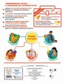 Волшебные игры для малышей. Лило и Стич