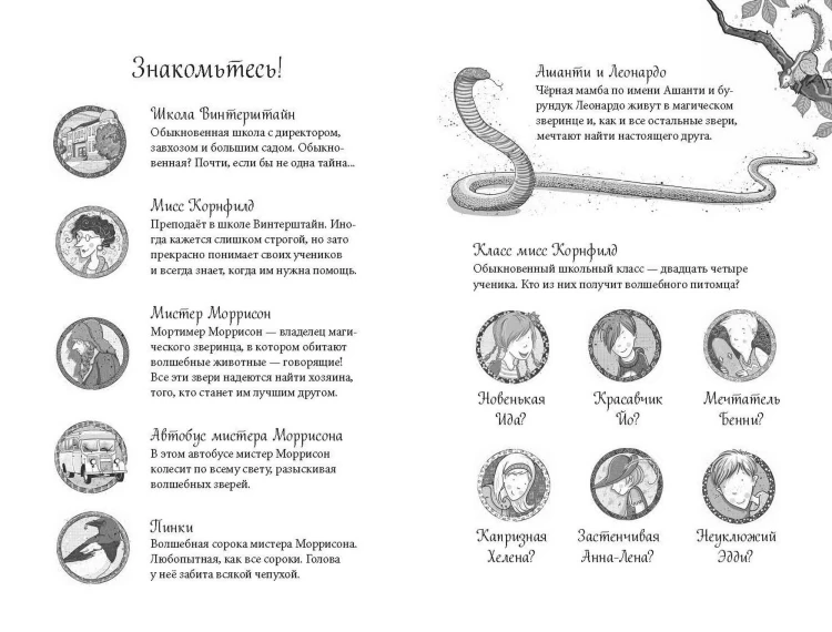 Школа магических зверей. Приключения начинаются!