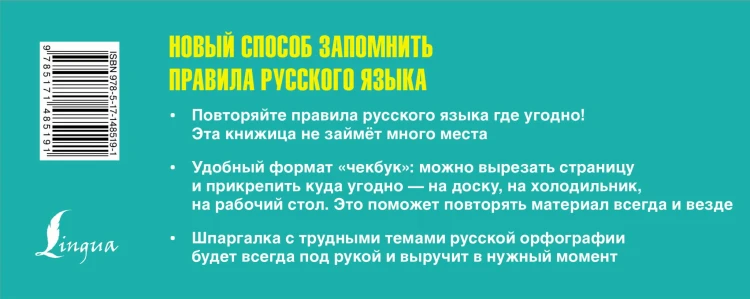 Русский язык: пишем без ошибок. Шпаргалка на все случаи жизни