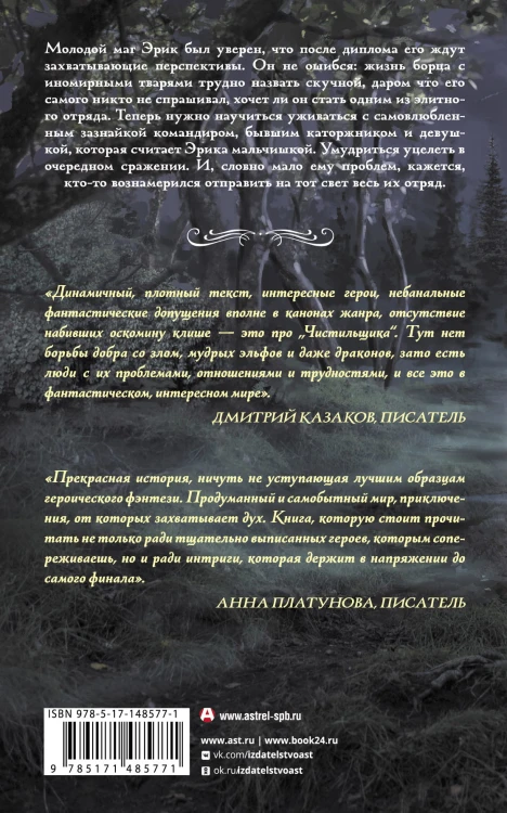 Чистильщик
