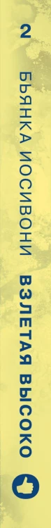 Комплект из двух книг Бьянка Иосивони: Быстро падая + Взлетая высоко