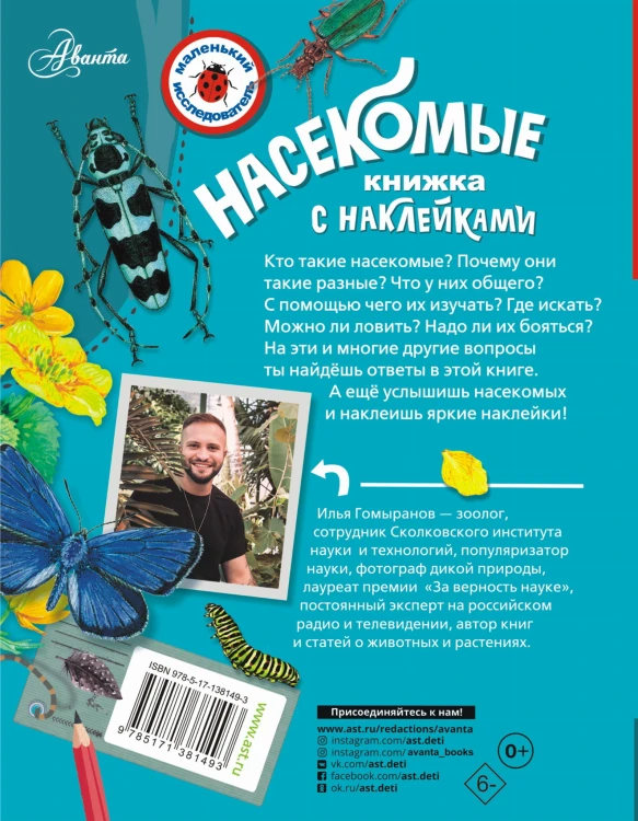 Насекомые