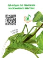 Насекомые