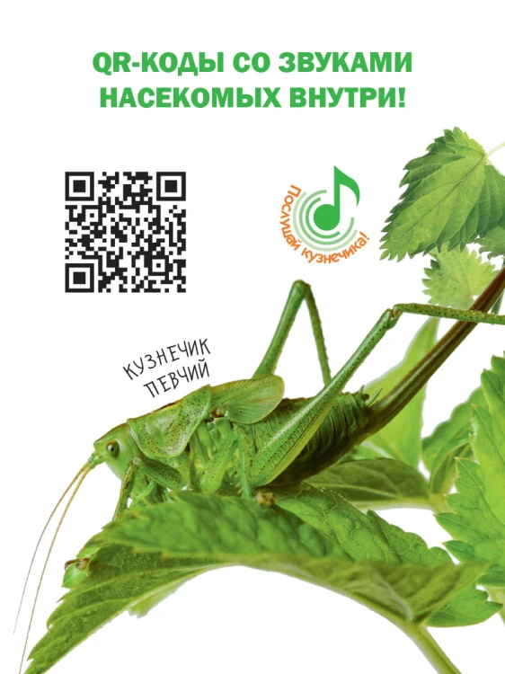 Насекомые
