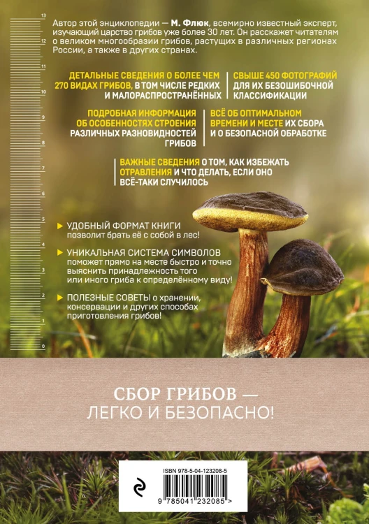 Грибы