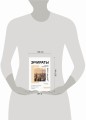 Эмираты: культура возможного. Как за 50 лет в пустыне возникла страна будущего