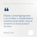 Ум тронулся, господа! Аномалии мозга глазами нейробиолога